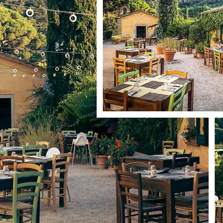 Sant'anna Del Volterraio - I Lecci 3 * Bagnaia (Livorno)