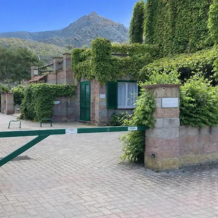 Sant'anna Del Volterraio - I Lecci 3