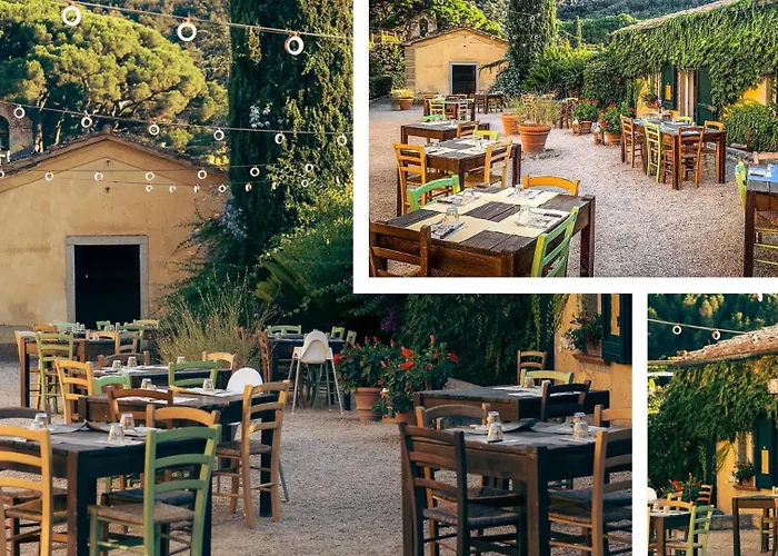 Sant'anna Del Volterraio - I Lecci 3 * Bagnaia (Livorno)